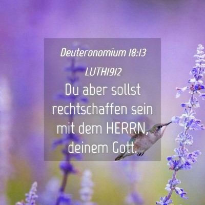 Picture 04 - Deuteronomium 18:13 LUTH1912 - Du aber sollst rechtschaffen sein mit dem HERRN, - Bible Verse Picture