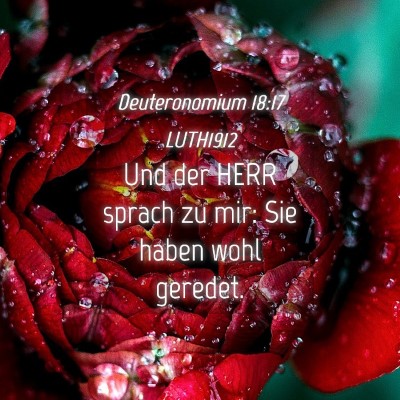 Picture 04 - Deuteronomium 18:17 LUTH1912 - Und der HERR sprach zu mir: Sie haben wohl - Bible Verse Picture