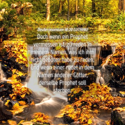 Picture 04 - Deuteronomium 18:20 LUTH1912 - Doch wenn ein Prophet vermessen ist, zu reden in - Bible Verse Picture