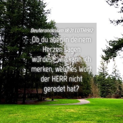Picture 04 - Deuteronomium 18:21 LUTH1912 - Ob du aber in deinem Herzen sagen würdest: Wie - Bible Verse Picture