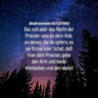 Picture 04 - Deuteronomium 18:3 LUTH1912 - Das soll aber das Recht der Priester sein an dem - Bible Verse Picture