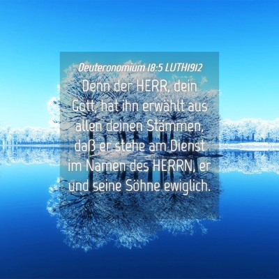 Picture 04 - Deuteronomium 18:5 LUTH1912 - Denn der HERR, dein Gott, hat ihn erwählt aus - Bible Verse Picture