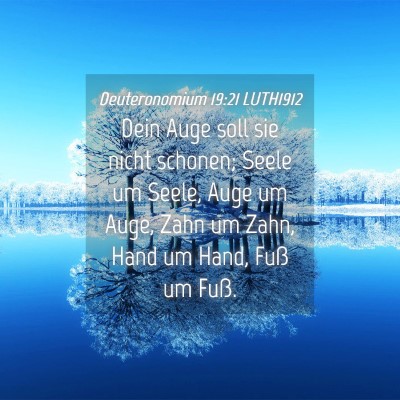 Picture 04 - Deuteronomium 19:21 LUTH1912 - Dein Auge soll sie nicht schonen; Seele um Seele, - Bible Verse Picture
