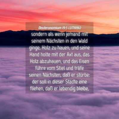 Picture 04 - Deuteronomium 19:5 LUTH1912 - sondern als wenn jemand mit seinem Nächsten in - Bible Verse Picture
