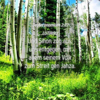 Picture 04 - Deuteronomium 2:32 LUTH1912 - Und Sihon zog aus, uns entgegen, mit allem seinem - Bible Verse Picture