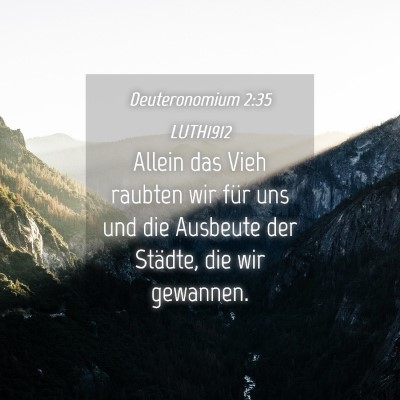 Picture 04 - Deuteronomium 2:35 LUTH1912 - Allein das Vieh raubten wir für uns und die - Bible Verse Picture