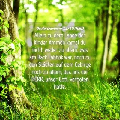 Picture 04 - Deuteronomium 2:37 LUTH1912 - Allein zu dem Lande der Kinder Ammon kamst du - Bible Verse Picture