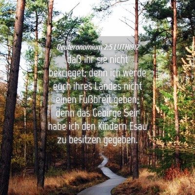 Picture 04 - Deuteronomium 2:5 LUTH1912 - daß ihr sie nicht bekrieget; denn ich werde euch - Bible Verse Picture