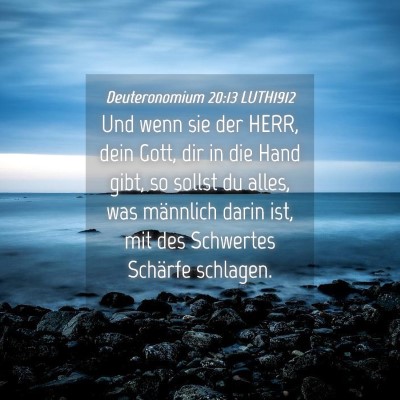 Picture 04 - Deuteronomium 20:13 LUTH1912 - Und wenn sie der HERR, dein Gott, dir in die Hand - Bible Verse Picture