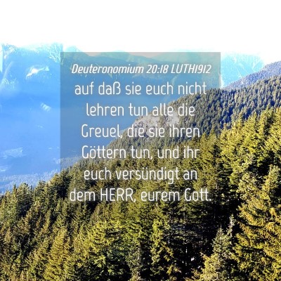 Picture 04 - Deuteronomium 20:18 LUTH1912 - auf daß sie euch nicht lehren tun alle die - Bible Verse Picture