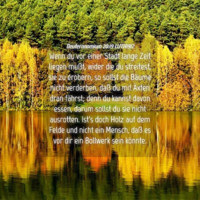 Picture 04 - Deuteronomium 20:19 LUTH1912 - Wenn du vor einer Stadt lange Zeit liegen mußt, - Bible Verse Picture