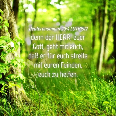 Picture 04 - Deuteronomium 20:4 LUTH1912 - denn der HERR, euer Gott, geht mit euch, daß er - Bible Verse Picture