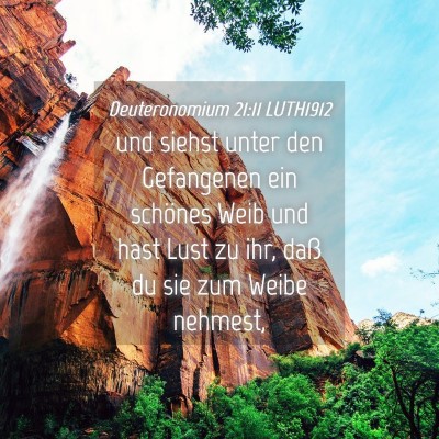 Picture 04 - Deuteronomium 21:11 LUTH1912 - und siehst unter den Gefangenen ein schönes Weib - Bible Verse Picture