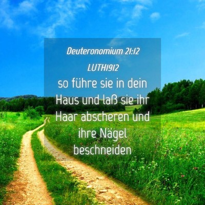 Picture 04 - Deuteronomium 21:12 LUTH1912 - so führe sie in dein Haus und laß sie ihr Haar - Bible Verse Picture