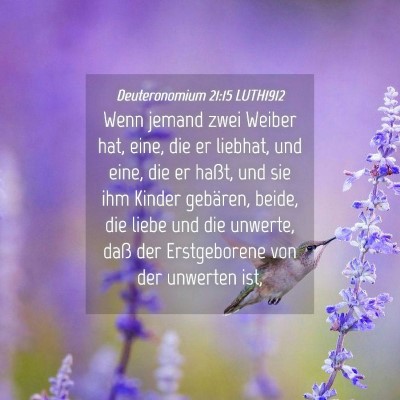 Picture 04 - Deuteronomium 21:15 LUTH1912 - Wenn jemand zwei Weiber hat, eine, die er - Bible Verse Picture