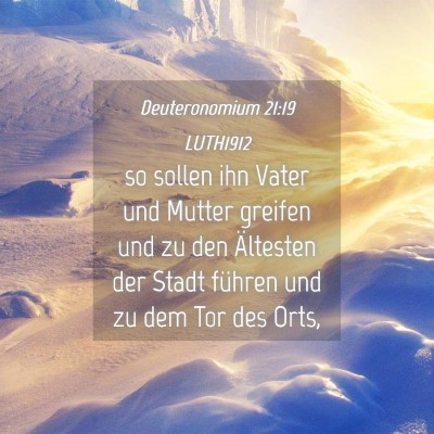 Picture 04 - Deuteronomium 21:19 LUTH1912 - so sollen ihn Vater und Mutter greifen und zu den - Bible Verse Picture