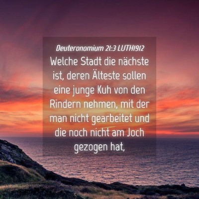 Picture 04 - Deuteronomium 21:3 LUTH1912 - Welche Stadt die nächste ist, deren Älteste - Bible Verse Picture
