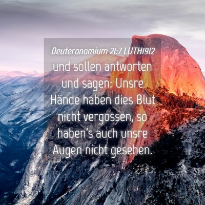 Picture 04 - Deuteronomium 21:7 LUTH1912 - und sollen antworten und sagen: Unsre Hände - Bible Verse Picture