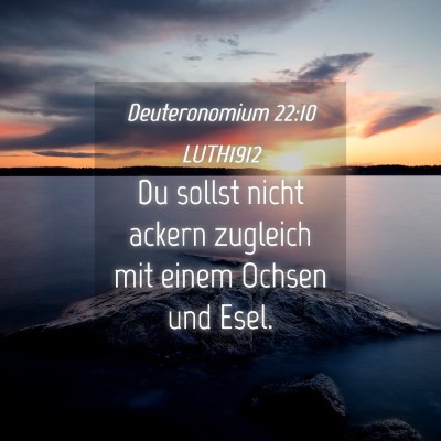 Picture 04 - Deuteronomium 22:10 LUTH1912 - Du sollst nicht ackern zugleich mit einem Ochsen - Bible Verse Picture