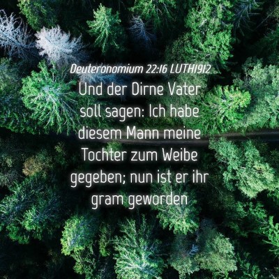 Picture 04 - Deuteronomium 22:16 LUTH1912 - Und der Dirne Vater soll sagen: Ich habe diesem - Bible Verse Picture