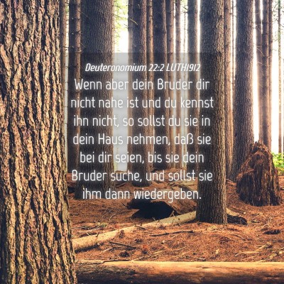 Picture 04 - Deuteronomium 22:2 LUTH1912 - Wenn aber dein Bruder dir nicht nahe ist und du - Bible Verse Picture