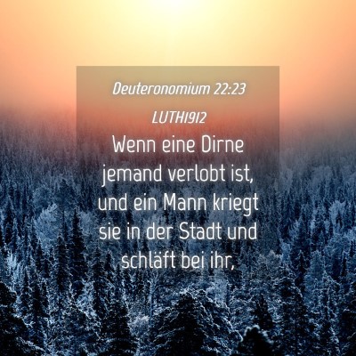Picture 04 - Deuteronomium 22:23 LUTH1912 - Wenn eine Dirne jemand verlobt ist, und ein Mann - Bible Verse Picture