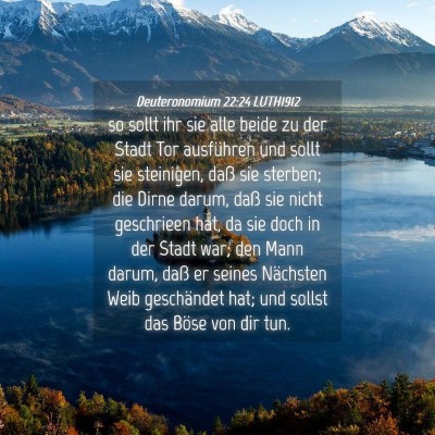 Picture 04 - Deuteronomium 22:24 LUTH1912 - so sollt ihr sie alle beide zu der Stadt Tor - Bible Verse Picture