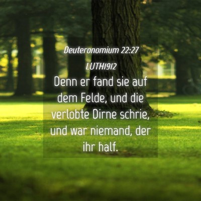 Picture 04 - Deuteronomium 22:27 LUTH1912 - Denn er fand sie auf dem Felde, und die verlobte - Bible Verse Picture