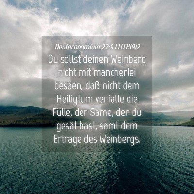 Picture 04 - Deuteronomium 22:9 LUTH1912 - Du sollst deinen Weinberg nicht mit mancherlei - Bible Verse Picture