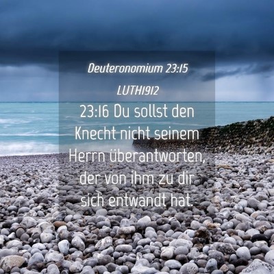 Picture 04 - Deuteronomium 23:15 LUTH1912 - 23:16 Du sollst den Knecht nicht seinem Herrn - Bible Verse Picture