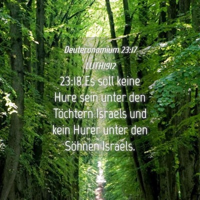 Picture 04 - Deuteronomium 23:17 LUTH1912 - 23:18 Es soll keine Hure sein unter den Töchtern - Bible Verse Picture