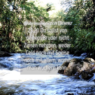 Picture 04 - Deuteronomium 23:19 LUTH1912 - 23:20 Du sollst von deinem Bruder nicht Zinsen - Bible Verse Picture