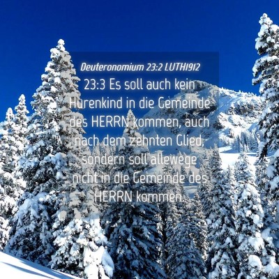 Picture 04 - Deuteronomium 23:2 LUTH1912 - 23:3 Es soll auch kein Hurenkind in die Gemeinde - Bible Verse Picture