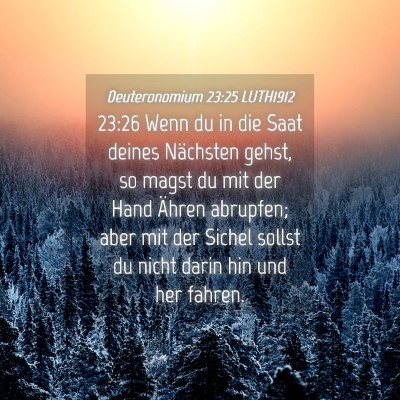 Picture 04 - Deuteronomium 23:25 LUTH1912 - 23:26 Wenn du in die Saat deines Nächsten gehst, - Bible Verse Picture