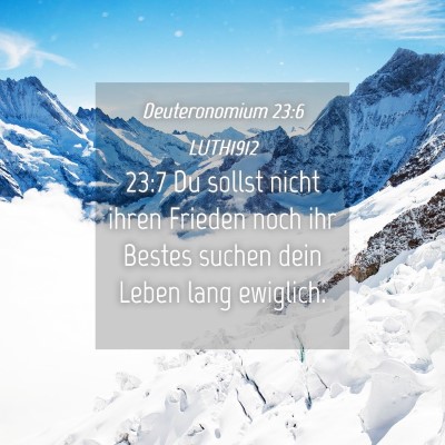 Picture 04 - Deuteronomium 23:6 LUTH1912 - 23:7 Du sollst nicht ihren Frieden noch ihr - Bible Verse Picture