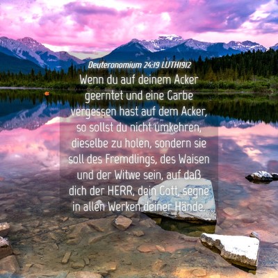Picture 04 - Deuteronomium 24:19 LUTH1912 - Wenn du auf deinem Acker geerntet und eine Garbe - Bible Verse Picture