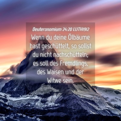 Picture 04 - Deuteronomium 24:20 LUTH1912 - Wenn du deine Ölbäume hast geschüttelt, so - Bible Verse Picture
