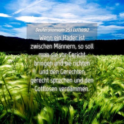 Picture 04 - Deuteronomium 25:1 LUTH1912 - Wenn ein Hader ist zwischen Männern, so soll man - Bible Verse Picture