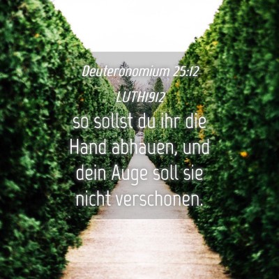 Picture 04 - Deuteronomium 25:12 LUTH1912 - so sollst du ihr die Hand abhauen, und dein Auge - Bible Verse Picture