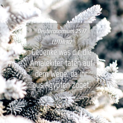 Picture 04 - Deuteronomium 25:17 LUTH1912 - Gedenke was dir die Amalekiter taten auf dem - Bible Verse Picture