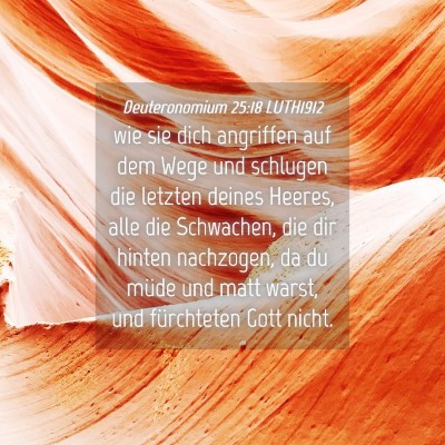 Picture 04 - Deuteronomium 25:18 LUTH1912 - wie sie dich angriffen auf dem Wege und schlugen - Bible Verse Picture