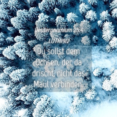Picture 04 - Deuteronomium 25:4 LUTH1912 - Du sollst dem Ochsen, der da drischt, nicht das - Bible Verse Picture