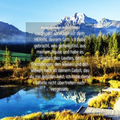 Picture 04 - Deuteronomium 26:13 LUTH1912 - Und sollst sprechen vor dem HERRN, deinem Gott: - Bible Verse Picture