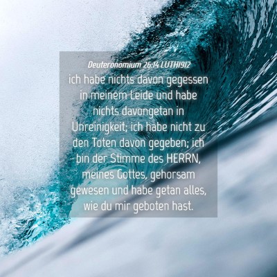 Picture 04 - Deuteronomium 26:14 LUTH1912 - ich habe nichts davon gegessen in meinem Leide - Bible Verse Picture