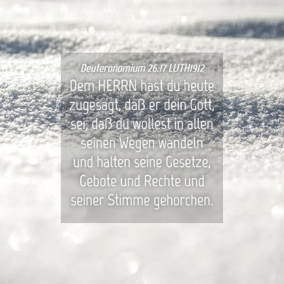 Picture 04 - Deuteronomium 26:17 LUTH1912 - Dem HERRN hast du heute zugesagt, daß er dein - Bible Verse Picture
