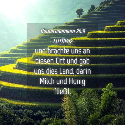 Picture 04 - Deuteronomium 26:9 LUTH1912 - und brachte uns an diesen Ort und gab uns dies - Bible Verse Picture