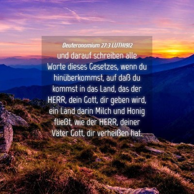 Picture 04 - Deuteronomium 27:3 LUTH1912 - und darauf schreiben alle Worte dieses Gesetzes, - Bible Verse Picture