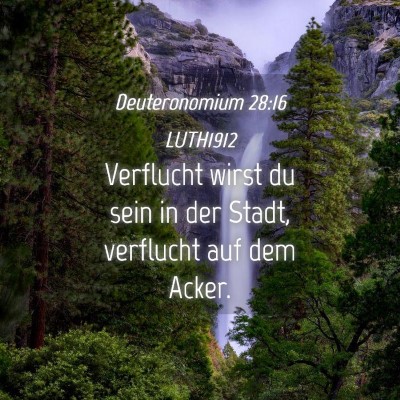 Picture 04 - Deuteronomium 28:16 LUTH1912 - Verflucht wirst du sein in der Stadt, verflucht - Bible Verse Picture