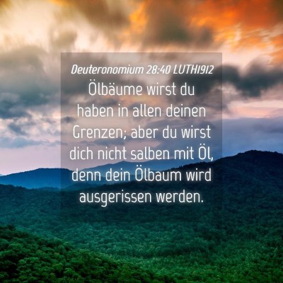 Picture 04 - Deuteronomium 28:40 LUTH1912 - Ölbäume wirst du haben in allen deinen Grenzen; - Bible Verse Picture