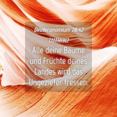 Picture 04 - Deuteronomium 28:42 LUTH1912 - Alle deine Bäume und Früchte deines Landes wird - Bible Verse Picture